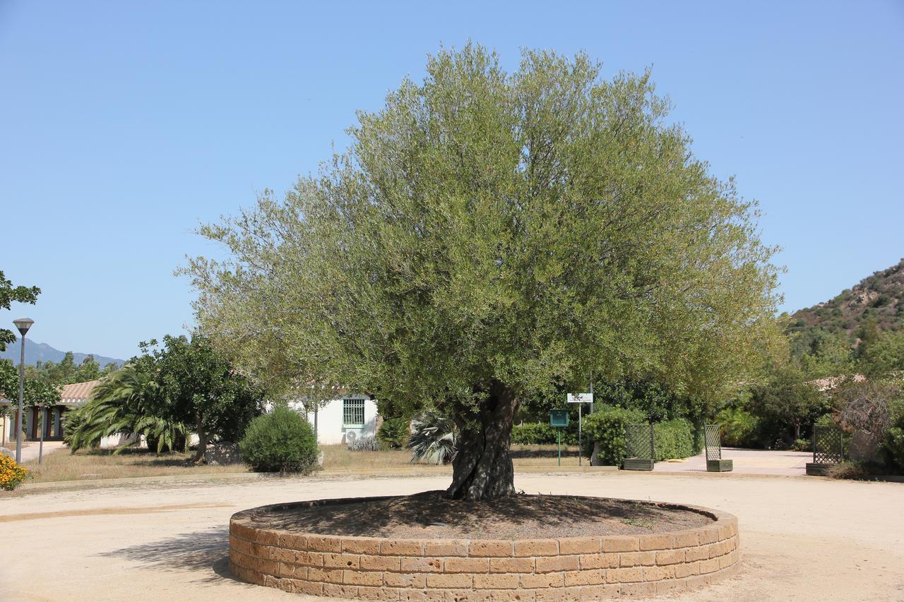 קוסטה ריי Le Vanille מראה חיצוני תמונה